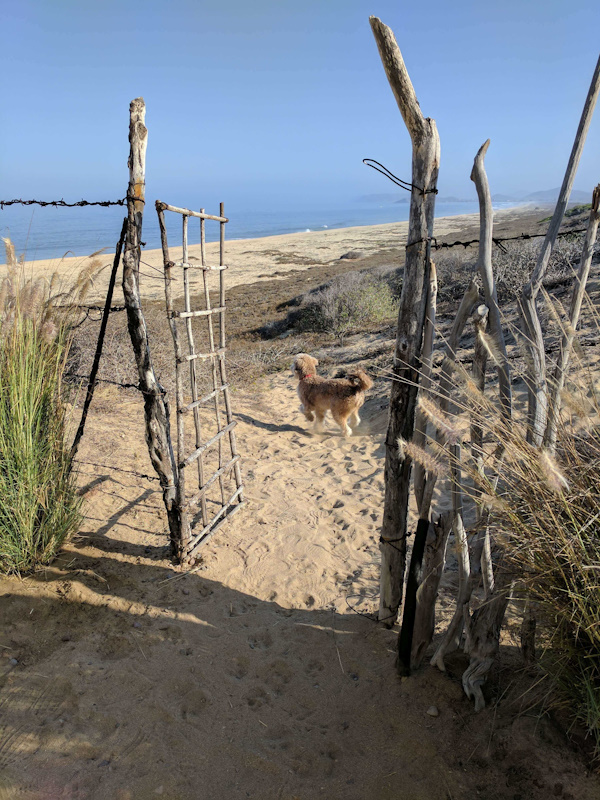 Access from Rancho Nuevo on to the beach at the southern end of Playa Los Cerritos, just 300 yards from Casa j9 Access from Rancho Nuevo on to the beach at the southern end of Playa Los Cerritos, just 300 yards from Casa j9