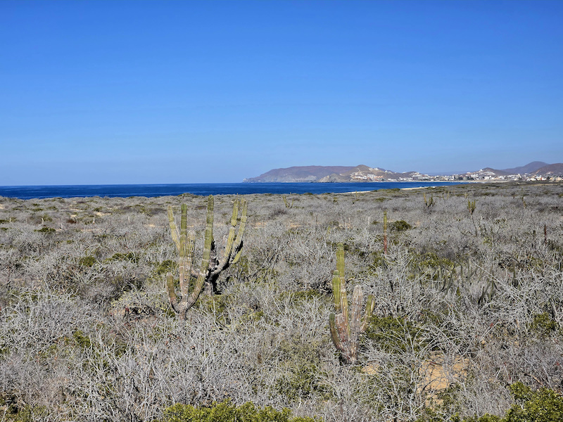 Casa j9 stunning views over the desert and Pacific to Punta Lobos and beyond
