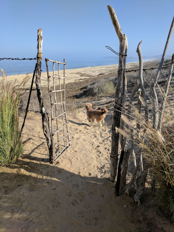 Empty beach is 300 yards away from the Casa j9 property